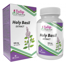 Tulip BioPharma Священный базилик, 120 капсул (экстракт 10:1)