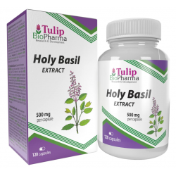 Tulip BioPharma Священный базилик, 120 капсул (экстракт 10:1)