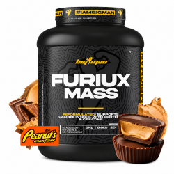 BigMan Nutrition Furiux Mass 3000 г.