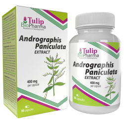 Tulip BioPharma Andrographis Paniculata ekstrakt 90 kapslit.