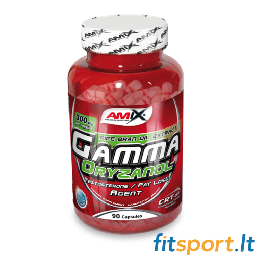 Amix Gamma Oryzanol 300 mg 90 kapslit 