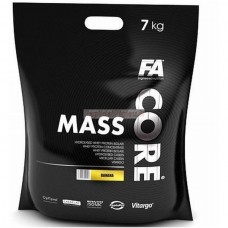 FA Mass Core 7 kg + KINGITUSED